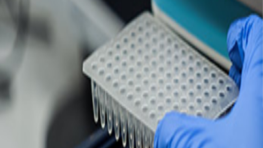 PCR Mastite